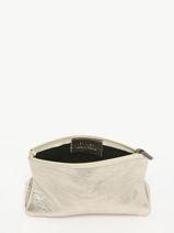 Pouch Leather Etincelle Irisée Etrier Gold etincelle irisee EETI853-vue-porte