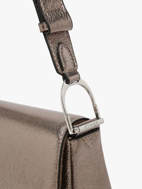 Shoulder Bag Jolly Leather Etrier Brown jolly EJOL145S other view 4